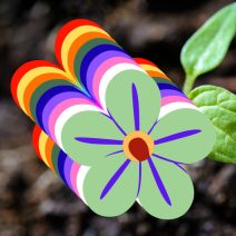 Növények virágszín szerint